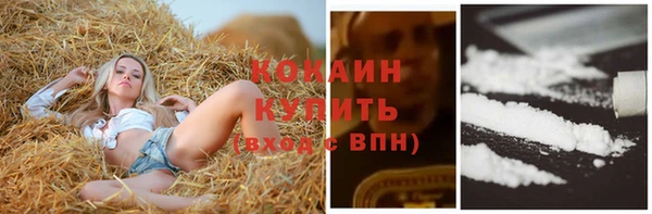 винт Белокуриха