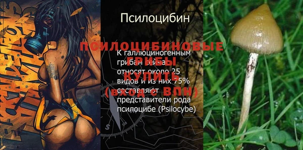 ешки Белоозёрский