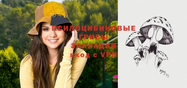 винт Белокуриха