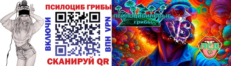 продажа наркотиков  Жирновск  Галлюциногенные грибы Magic Shrooms 